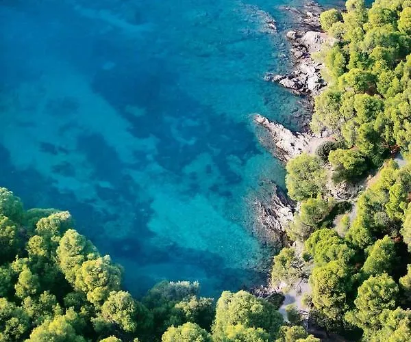 Vaso * נאוס מרמרס